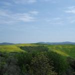 Toscana 2008 - Le Crete senesi
